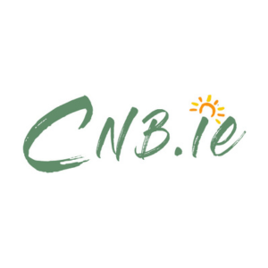 Cumann na bhFiann